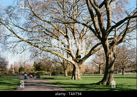 Clissold Park, Stoke Newington, North London, in springtime Stock Photo