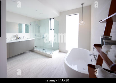 Modern domestic bathroom with shower cabin and freestanding bath, sunlight, no people Stock Photo