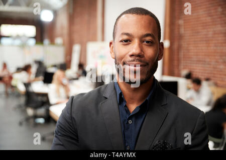 Portrait Of Businessman In Modern Open Plan Office With Business Team Working In Background Stock Photo
