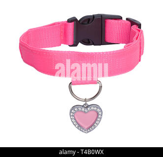 Pink Heart Dog Tag with Leather Collar Isolated on White Background. Stock Photo