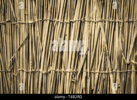 Highly detailed bamboo background. Perfect natural texture. Stock Photo