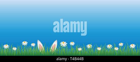 bunny ears in green meadow with white daisy flowers banner with copy space vector illustration EPS10 Stock Vector
