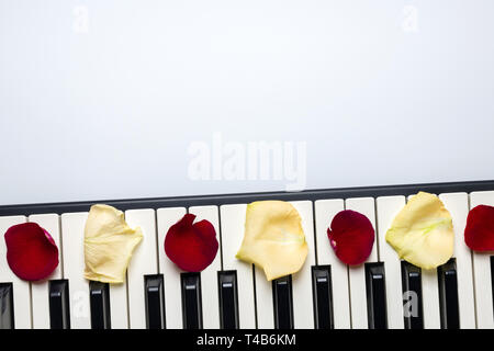 Piano keys with red and white rose flower petals, isolated, top view, copy space. Romantic concept. Piano or synthesizer keyboard. Classical music ins