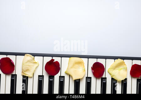 Piano keys with red and white rose flower petals, isolated, top view, copy space. Romantic concept. Piano or synthesizer keyboard. Classical music ins
