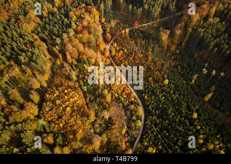 S curve in the colorful forest in autumn from above Stock Photo