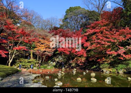 Koishikawa Korakuen Garden in autumn. Colorful park in Tokyo