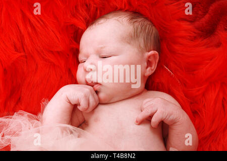 1 week old baby girl Stock Photo