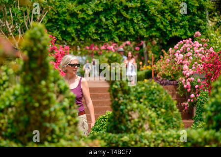 Botanischer Garten, Quinta do Palheiro, Funchal, Madeira, Portugal Stock Photo