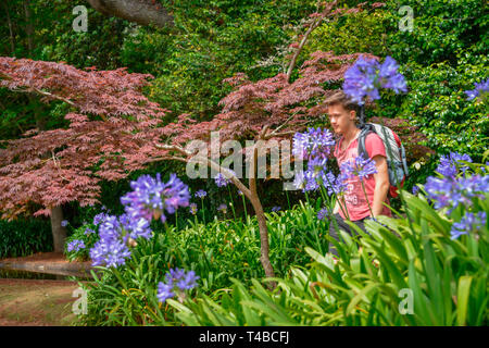 Botanischer Garten, Quinta do Palheiro, Funchal, Madeira, Portugal Stock Photo