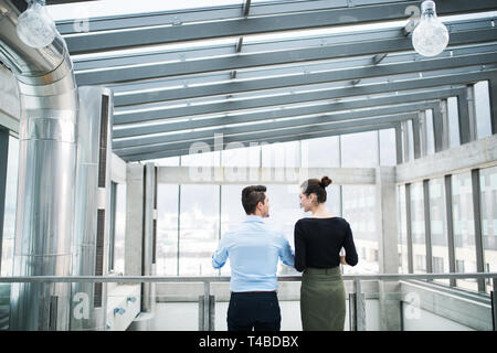 Rear view of young businesspeople standing in office, talking. Stock Photo