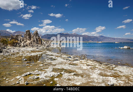 Tufa mineral formation, Mono Lake, California, America. Stock Photo