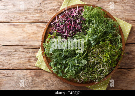 Homemade fresh microgreen from peas, cilantro, mustard, radish close-up on a plate on a wooden table. horizontal top view from above Stock Photo