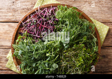 Micro green mix of peas, cilantro, mustard, radish close-up on a plate on the table. horizontal top view from above Stock Photo