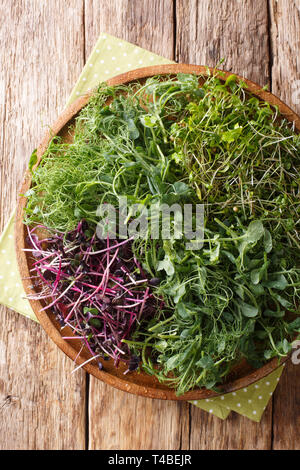 Micro green mix of peas, cilantro, mustard, radish close-up on a plate on the table. Vertical top view from above