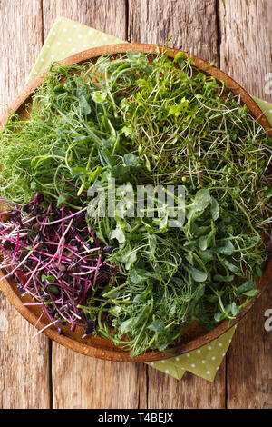 Vitamin dietary microgreen of peas, cilantro, mustard, radish rosso close-up on a plate on a wooden table.Vertical top view from above Stock Photo