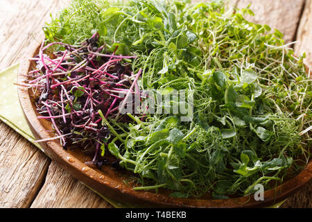 Vitamin dietary microgreen of peas, cilantro, mustard, radish rosso close-up on a plate on a wooden table. horizontal Stock Photo
