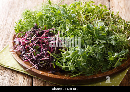 Ingredient for spring salads microgreen of peas, cilantro, mustard, radish closeup on a plate on a wooden table. horizontal Stock Photo