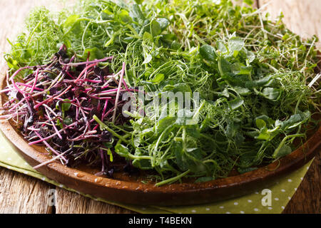 Homemade fresh microgreen from peas, cilantro, mustard, radish close-up on a plate on a wooden table. horizontal Stock Photo