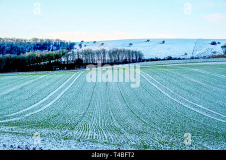 A green freshly ploughed field covered in a thin layer of white frost forming vertical lines, the field is on a hill and behind is the rolling country Stock Photo