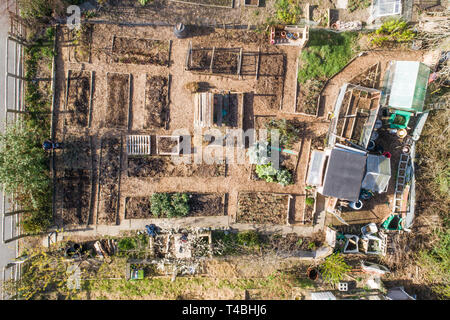 An aerial drone birds eye view of a local authority allotment , for  people who do not have gardens of their own, for growing fruit and vegetables for personal consumption. Aberystwyth Wales UK [CAA licenced drone operator] Stock Photo