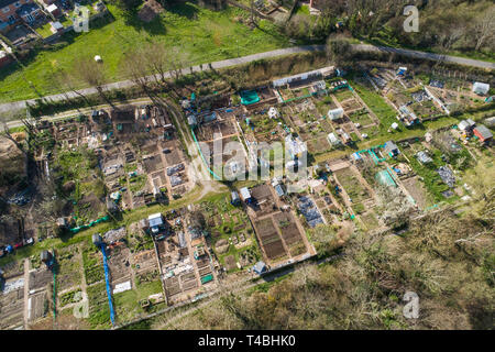 An aerial drone birds eye view of a local authority allotment , for  people who do not have gardens of their own, for growing fruit and vegetables for personal consumption. Aberystwyth Wales UK [CAA licenced drone operator] Stock Photo