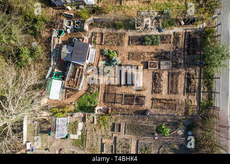 An aerial drone birds eye view of a local authority allotment , for  people who do not have gardens of their own, for growing fruit and vegetables for personal consumption. Aberystwyth Wales UK [CAA licenced drone operator] Stock Photo