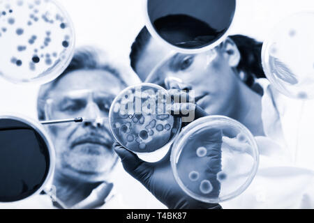 Life scientists researching in the health care laboratory. Stock Photo