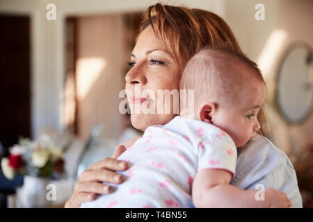 Middle aged Hispanic grandmother holding her newborn grandson, head and shoulders, close up Stock Photo
