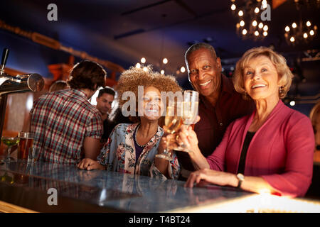 Portrait Of Senior Friends Drinking In Bar Together Stock Photo