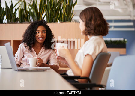 Two Businesswomen Working At Table In Modern Open Plan Office Drinking Coffee Together Stock Photo