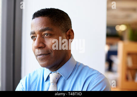 Smiling Mature  Businessman In Modern Office Standing By Window Stock Photo