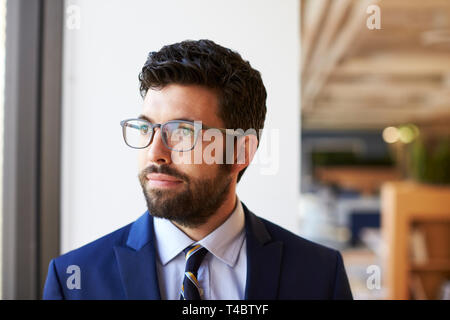 Businessman In Modern Office Standing By Window Stock Photo