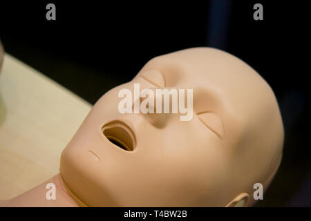 One Layout medical mannequin face man with open mouth close-up, medical exhibit Stock Photo