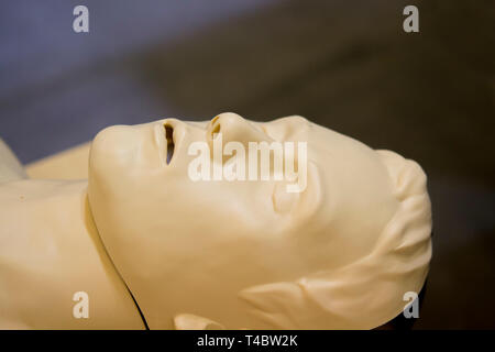 One Layout medical mannequin face man with open mouth close-up, medical exhibit Stock Photo