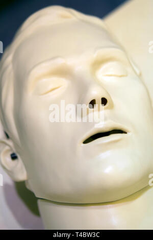 One Layout medical mannequin face man with open mouth close-up, medical exhibit Stock Photo