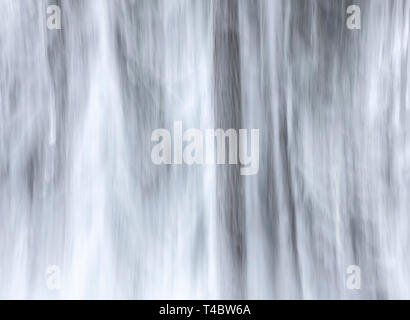 WA1710400...WASHINGTON - Abstract image of snow covered trees on Amabilis Mountain in the Okanogan Wenatchee National Forest. Stock Photo