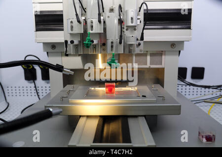 (190416)-- TEL AVIV, April 16, 2019 (Xinhua) Photo taken on April 15, 2019 shows a 3D-printed heart with human tissue at the University of Tel Aviv in Israel. Tel Aviv University scientists said on Monday that they have printed the first 3D heart, by using patient's cells and materials. The heart, which was produced in a lab, completely matches the biological characteristics of the patient's heart. It took about three hours to print the whole heart. Making a human heart model is a major medical breakthrough. However, the printed vascularized and engineered heart is approximately 100 time Stock Photo