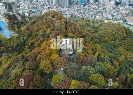 SEOUL, SOUTH KOREA,26 October 2016: Autumn maple tree mountain in Korea Stock Photo