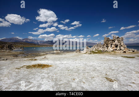 Tufa mineral formation, Mono Lake, California, America. Stock Photo