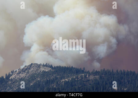 Forest fire near Buck Meadows, Yosemite, America, Stock Photo