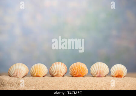 Horizontal shot of a seashell border in the sand below out of focus sky with copy space. Stock Photo