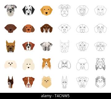 Dog breeds cartoon,outline icons in set collection for design.Muzzle of a dog vector symbol stock  illustration. Stock Vector
