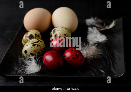 Quail and chiken eggs and feathers on a black background. Close up. Easter concept. Stock Photo