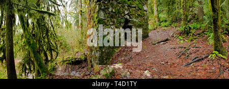 Old Robe Trail Train old railroad in the rainforest Stock Photo - Alamy