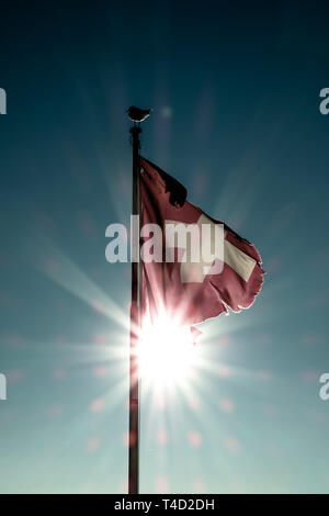 Swiss Flag with Sunbeam. Stock Photo