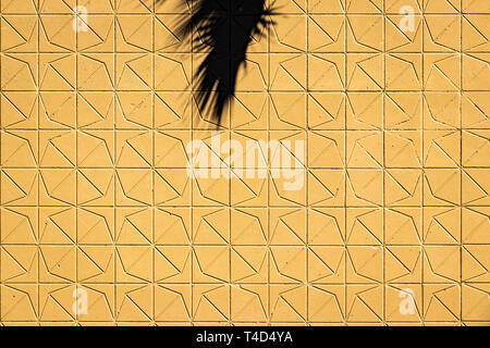 high abstract view looking down from hotel balcony on star patterned concrete and shadow of palm tree in the sun Stock Photo