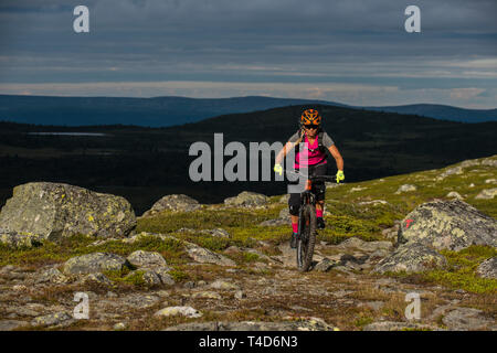 A woman rides a mountain bike in the wilderness near the town of Hafjell in Norway during the summer months. Stock Photo