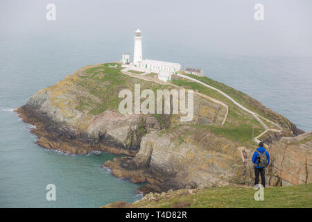 Rear view of man on coast cliff, early spring morning, looking out to sea, view of South Stack Lighthouse, Anglesey, Wales, before tourists arrive. Stock Photo