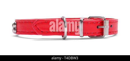 Small Red Leather Dog Pet Collar Front View Isolated on White Background. Stock Photo