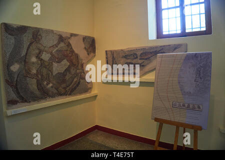 Interior view of the Archaeological Museum of Sparta. It houses thousands of finds from the ancient Acropolis of Sparta, known as the Lakedaemonia Stock Photo